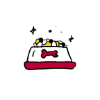 מזון יבש לכלבים