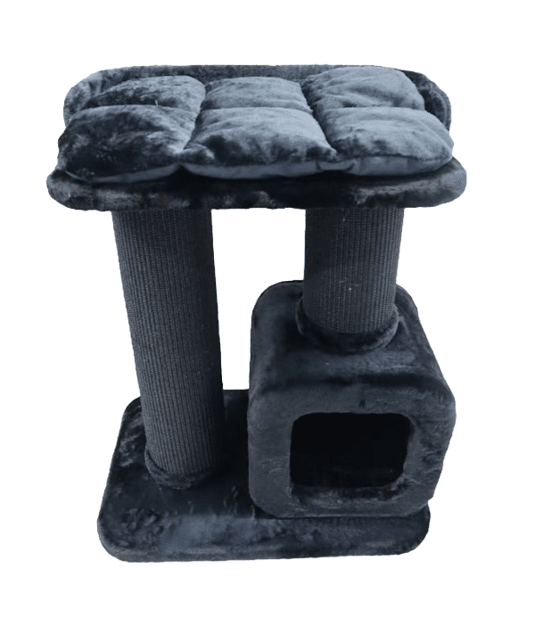 פטס פרו | מתקן גירוד Varg לחתול | 68 ס”מ