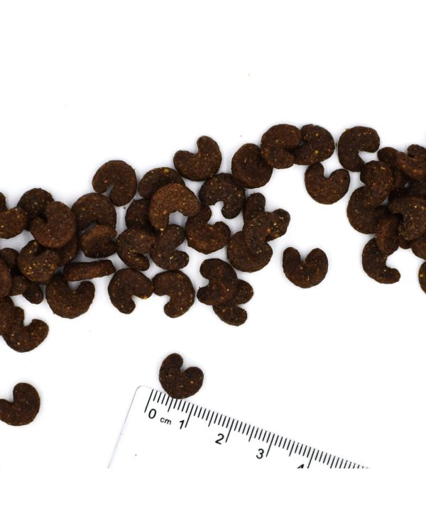 Alternative view of מונג’ | מזון לכלב בוגר – ארנבת, אורז ותפו”א | 12 ק"ג