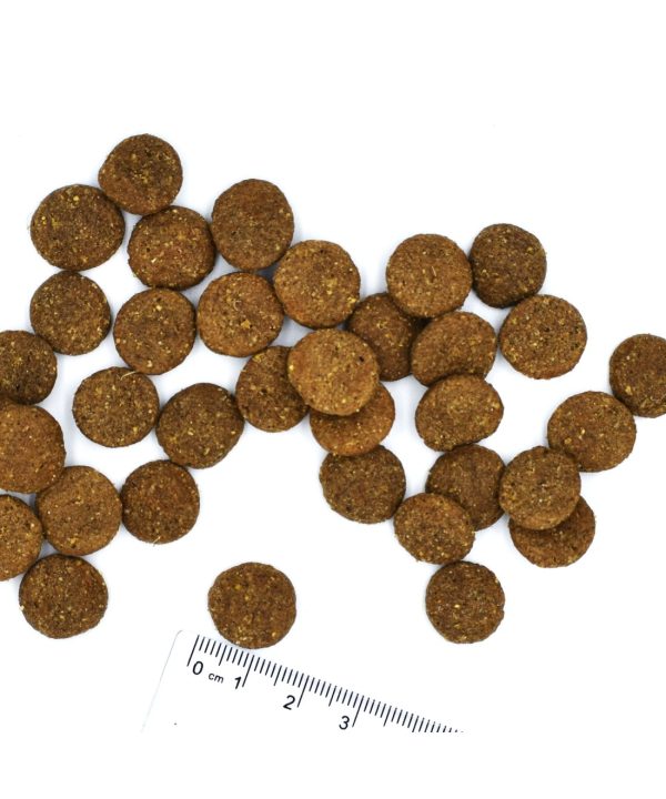 Alternative view of מונג’ | מזון לכלב בוגר – בקר ואורז | 12 ק”ג