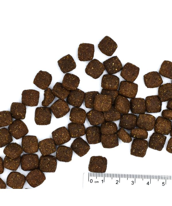 Alternative view of מונג’ | מזון לכלב בוגר – ברווז, אורז ותפו”א | 12 ק"ג