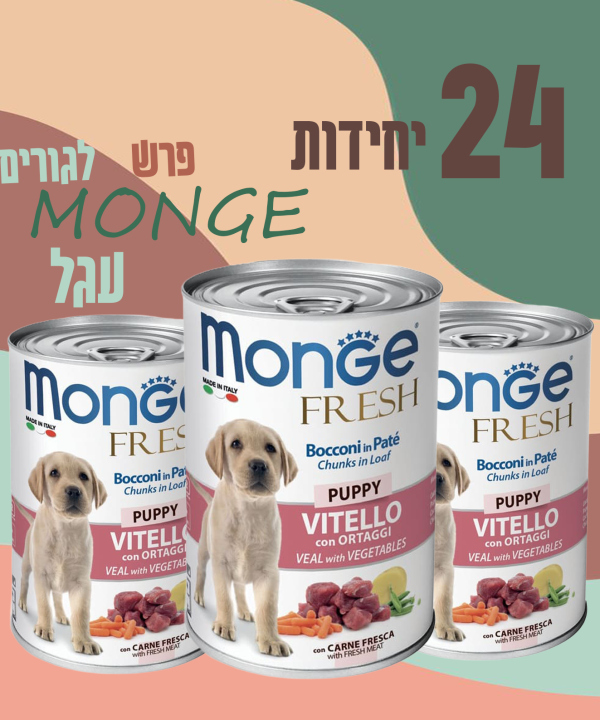 24 יחידות MONGE פרש לגורים עגל
