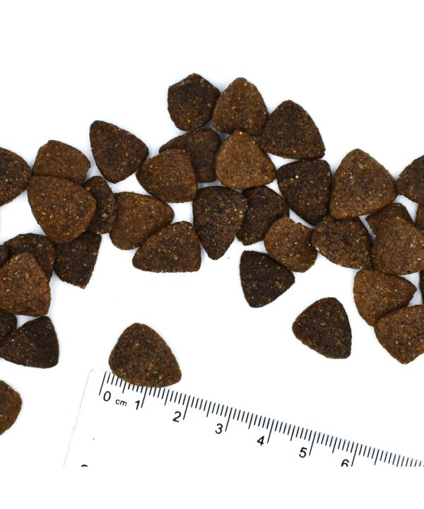 Alternative view of מונג’ | מזון לכלב בוגר היפואלרגני – סלמון וטונה | 12 ק"ג