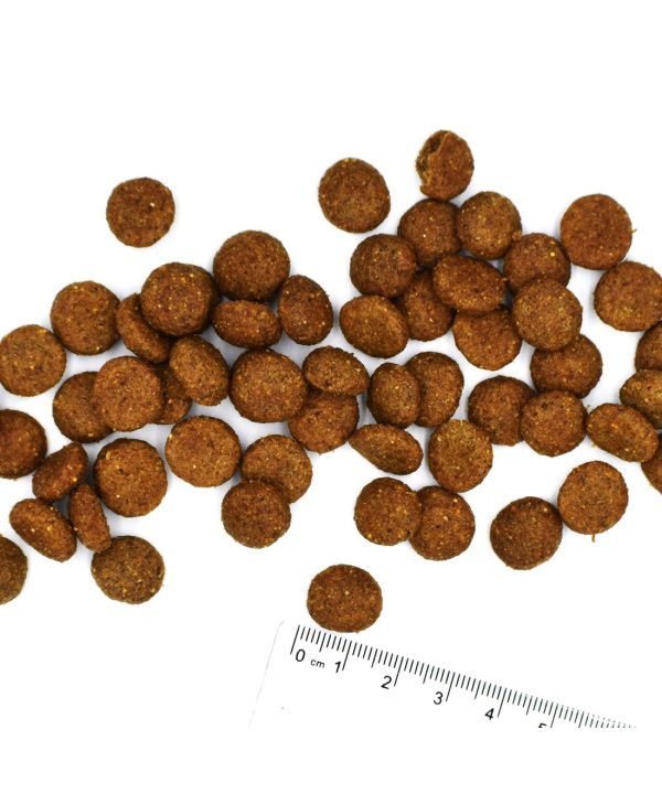 Alternative view of מונג’ | מזון לכלב בוגר – חזיר, אורז ותפו”א | 12 ק"ג