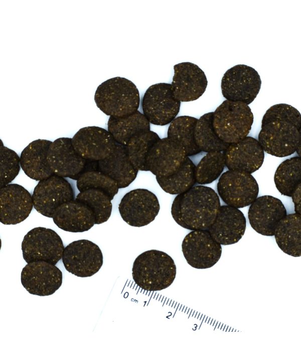 Alternative view of מונג’ | מזון לכלב בוגר – לייט סלמון | 12 ק"ג