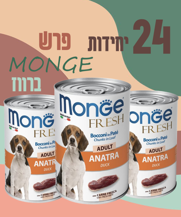 24 יחידות MONGE פרש ברווז