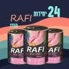 24 יחידות RAFI הודו