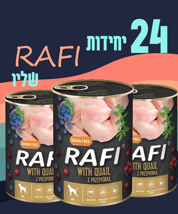 24 יחידות RAFI שליו