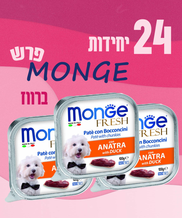24 יחידות MONGE פרש ברווז