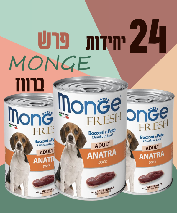 24 יחידות MONGE פרש ברווז