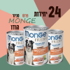24 יחידות MONGE פרש סניור הודו