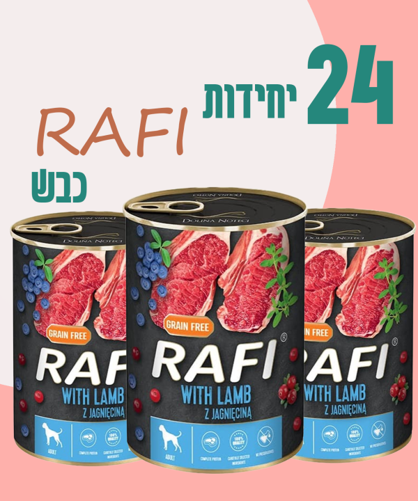 24 יחידות RAFI כבש