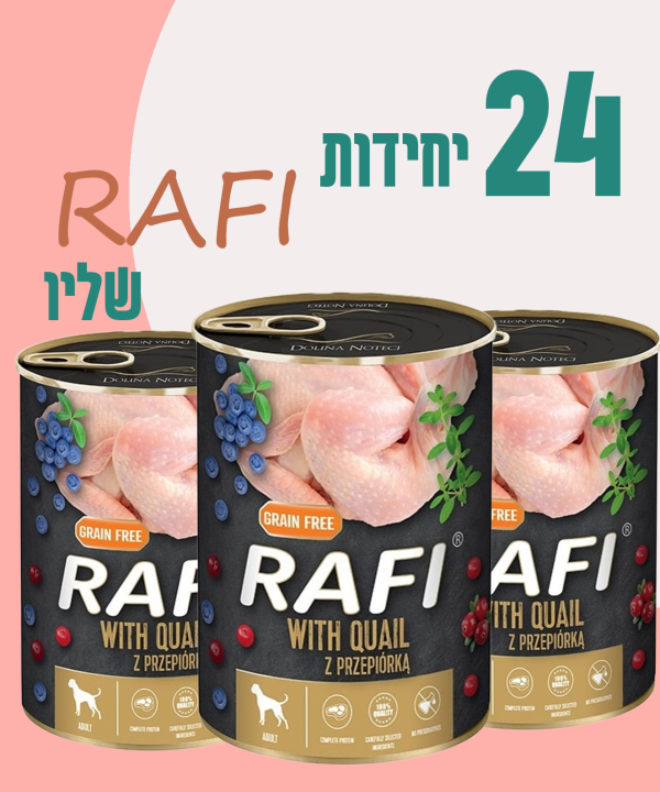 24 יחידות RAFI שליו